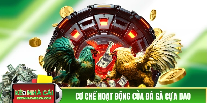 Đá Gà Cửa Giao Trực Tiếp - Nín Thở Với Các Màn Đấu Nảy Lửa 2 Cơ chế hoạt động của đá gà cửa giao trực tiếp